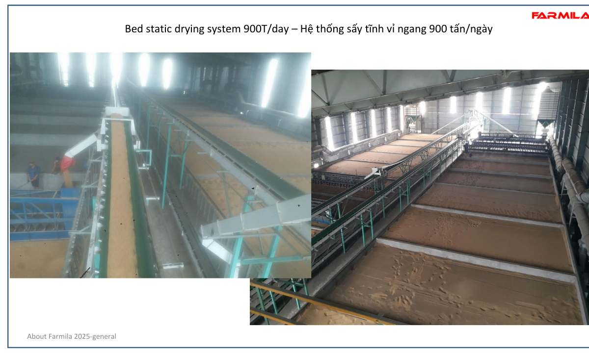 Hệ thống sấy tĩnh 900T/day